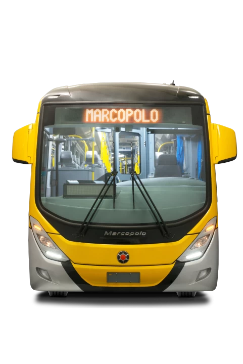 viale-express-15webp-161402202